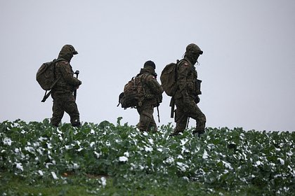 Командир отряда «Крым» рассказал о зарплате иностранных наемников ВСУ
