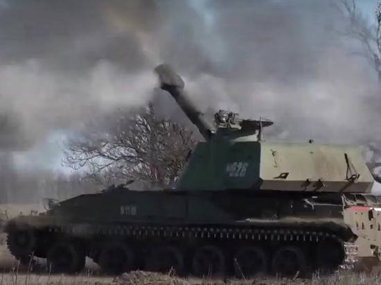 Бойцы группировки «Восток» уничтожили украинскую разведгруппу возле Малиновки Запорожской области